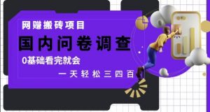 网创搬砖项目,国内问卷调查,0基础看完就会 一天轻松三四张,靠谱副业干就完了【揭秘】-水滴知识网