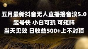 2025五月最新无人直播撸音浪单日产出5张+实操教程【揭秘】-水滴知识网