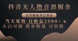 抖音无人撸音浪掘金，五月最新风口项目，当天见效，日收益多张，小白可做简单粗暴可矩阵【揭秘】-水滴知识网