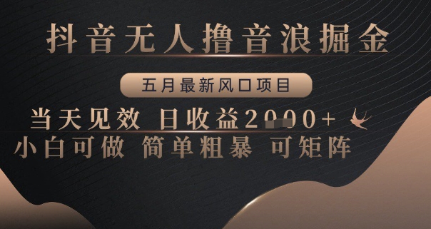 抖音无人撸音浪掘金，五月最新风口项目，当天见效，日收益多张，小白可做简单粗暴可矩阵【揭秘】-水滴知识网
