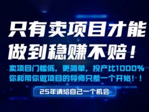 只有卖项目才能做到稳挣不赔,门槛低,更简单,你也可以年入百个W【揭秘】-水滴知识网