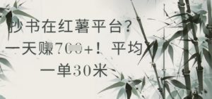 抄书在小红薯平台？平均一单30米，一天收益几张！-水滴知识网