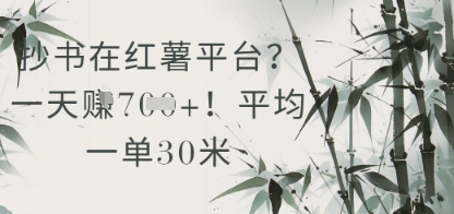 抄书在小红薯平台？平均一单30米，一天收益几张！-水滴知识网