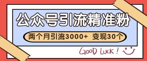 公众号精准粉引流玩法,2个月3000+精准粉,变现30个W【揭秘】-水滴知识网