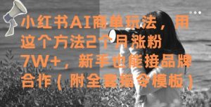 小红书AI商单玩法,用这个方法2个月涨粉7W+,新手也能接品牌合作(附全套指令模板)-水滴知识网