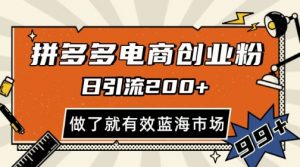 拼多多引流电商创业粉，日引200+，可矩阵放大，做了就有效【揭秘】-水滴知识网