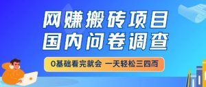 网创搬砖项目，国内问卷调查，小白轻松上手，一天三四张的也不难，干就完了【揭秘】-水滴知识网