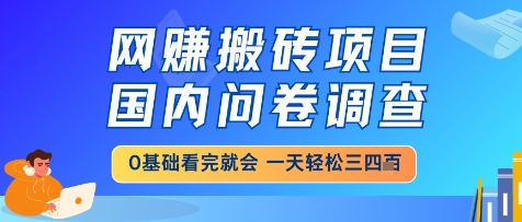 网创搬砖项目，国内问卷调查，小白轻松上手，一天三四张的也不难，干就完了【揭秘】-水滴知识网