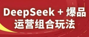 DeepSeek+爆品运营组合玩法，2025淘系精品课-水滴知识网