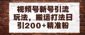 视频号新号引流玩法，搬运打法日引200+精准粉，可矩阵放大【揭秘】-水滴知识网