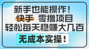 新手也能操作，快手零撸挣米，轻松每天挣2-5张，完全无成本-水滴知识网
