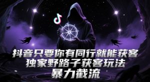 抖音只要你有同行就能获客，独家野路子获客玩法，暴力截流【揭秘】-水滴知识网