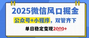 2025微信风口掘金,公众号+小程序双管齐下,单日稳定变现1k+【揭秘】-水滴知识网