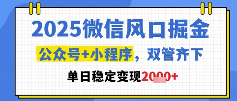2025微信风口掘金,公众号+小程序双管齐下,单日稳定变现1k+【揭秘】-水滴知识网