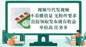 视频号代发视频，无需做视频，无需写文案，不看播放量，无粉丝要求，直接领取发布就有收益【揭秘】-水滴知识网