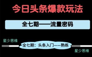 头条系列全七期项目拆解，全是干货，新手从0-1必经过程，99的人会踩的坑-水滴知识网