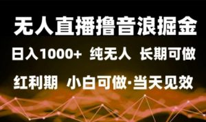 无人直播撸音浪掘金，日入1k+，纯无人红利期，小白可做，当天见效【揭秘】-水滴知识网