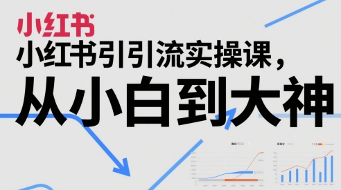 小红书引流实操课，从小白到大神-水滴知识网