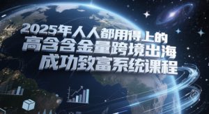 2025年人人都用得上的高含金量跨境出海成功致富系统课程-水滴知识网