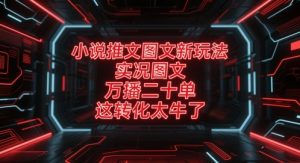 小说推文图文新玩法,实况图文,万播二十单,这转化太牛了!-水滴知识网