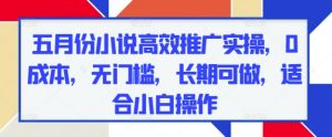 五月份小说高效推广实操，0成本，无门槛，长期可做，适合小白操作-水滴知识网