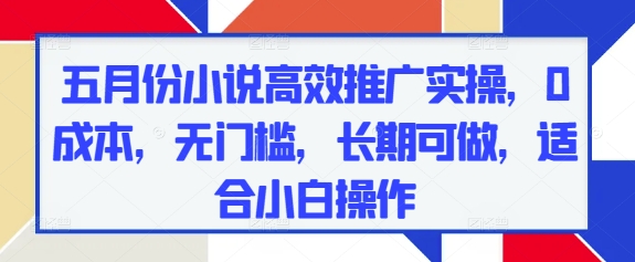 五月份小说高效推广实操,0成本,无门槛,长期可做,适合小白操作-水滴知识网