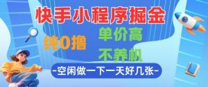 快手小程序掘金,纯0撸,单价高不养机 利用空闲时间做一做,一天好几张【揭秘】-水滴知识网