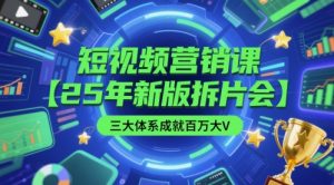 短视频营销课【25年新版拆片会】三大体系成就百万大V,包含正课、拆片会、手把手教学直播课等-水滴知识网