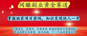 网创副业黄全赛道,掌握独家项目密码,知识变现快人一步,告别韭菜轻松实现单日变现1k+【揭秘】-水滴知识网