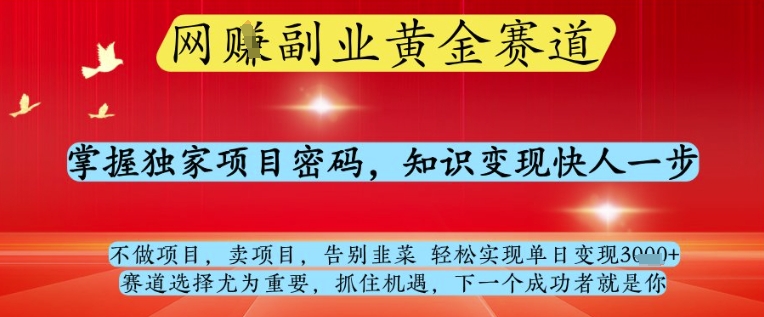 网创副业黄全赛道,掌握独家项目密码,知识变现快人一步,告别韭菜轻松实现单日变现1k+【揭秘】-水滴知识网