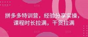 拼多多特训营,经验分享实操,课程时长拉满,干货拉满(更新25年4月)-水滴知识网