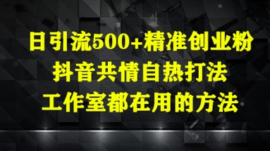 日引流500+精准创业粉,抖音共情自热打法,工作室都在用的方法-水滴知识网