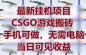 最新挂G项目,CSGO游戏搬砖,手机可做,无需电脑,当日见收益【揭秘】-水滴知识网
