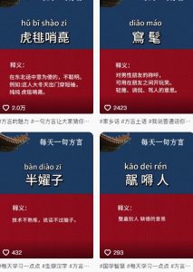 抖音最新涨粉玩法，图文方言暴力涨粉实操，126作品涨粉11W-水滴知识网