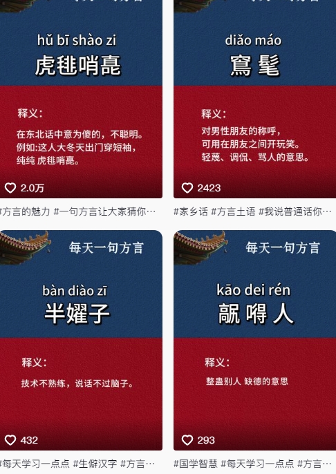 抖音最新涨粉玩法,图文方言暴力涨粉实操,126作品涨粉11W-水滴知识网