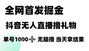 全网首发掘金抖音无人直播撸礼物，单号1k +无脑撸，当天拿结果【揭秘】-水滴知识网