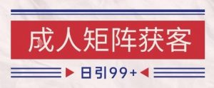 小红书某音橙人赛道引流获客，自热矩阵日引200+【揭秘】-水滴知识网