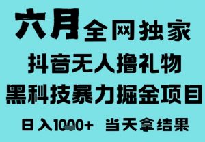 25年6月高爆抖音无人直播最新撸音浪掘金项目,门槛低小白可做,无脑日入1k,可矩阵放大【揭秘】-水滴知识网