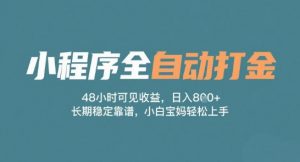 小程序全自动打金,48小时可见收益,日入多张,长期稳定靠谱,小白宝妈轻松上手【揭秘】-水滴知识网