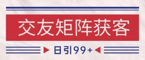 小红书某音交友赛道引流获客 自热矩阵日引200+【揭秘】-水滴知识网