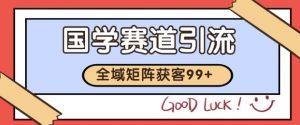 小红书某音国学赛道引流获客 自热矩阵日引200+【揭秘】-水滴知识网