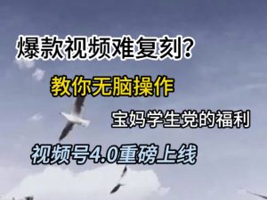 视频号4.0重磅上线，爆款视频难复刻？教你无脑操作宝妈学生党的福利【揭秘】-水滴知识网