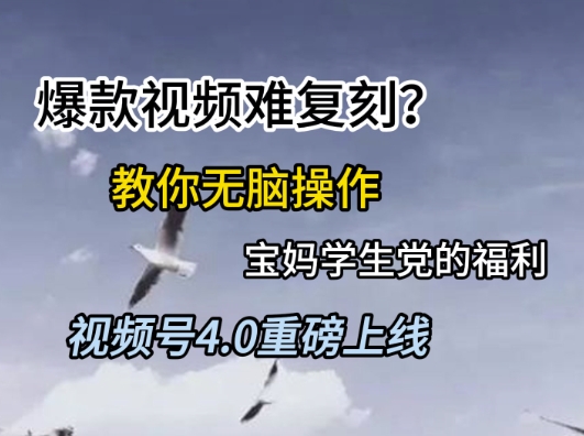 视频号4.0重磅上线，爆款视频难复刻？教你无脑操作宝妈学生党的福利【揭秘】-水滴知识网