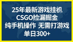 25年CSGO游戏搬砖，全自动挂G，不需要玩游戏，手机操作日入3张+【揭秘】-水滴知识网