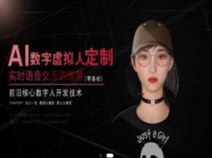 AI数字虚拟人定制,实时语音交互训练营(零基础),前沿核心数字人开发技术-水滴知识网