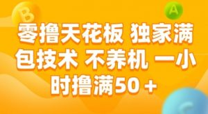 零撸天花板,独家满包技术 不养机 一小时撸满50+【揭秘】-水滴知识网