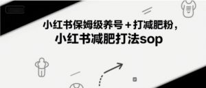 小红书保姆级养号+打减肥粉，小红书减肥打法sop-水滴知识网