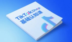 TikTok小店基础认知课,助力学员从 0 到 1 掌握 TikTok 电商运营全链路认知-水滴知识网