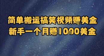 简单搬运搞笑视频挣美金,新手一个月入1k美金-水滴知识网