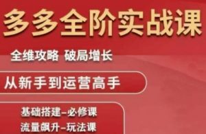 拼多多全阶实战课程,全维攻略,破局增长,从新手到运营高手-水滴知识网